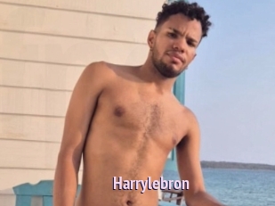 Harrylebron