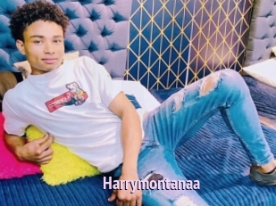 Harrymontanaa