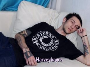 Harveyhayes