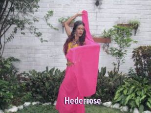 Hederrose