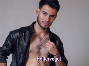 Heilervogel