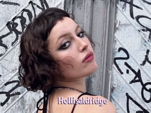 Hollisaldridge