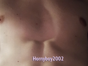 Hornyboy2002