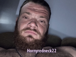 Hornyredneck22