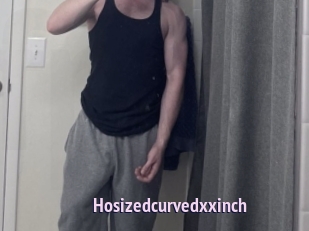 hosizedcurvedxxinch Film Porno