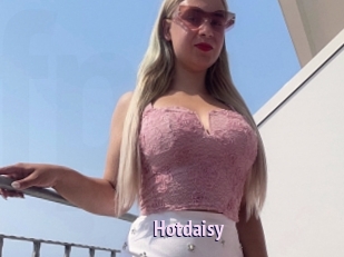 Hotdaisy