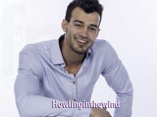 Howlinginthewind