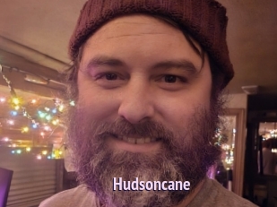 Hudsoncane