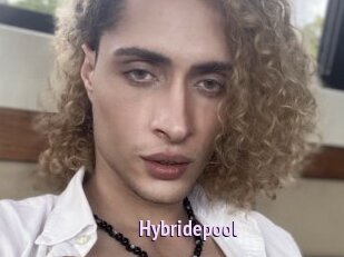 Hybridepool