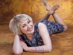 Ibirdt