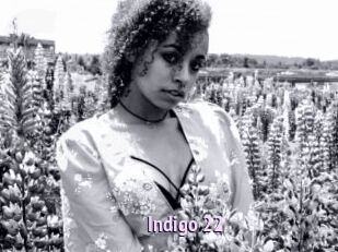 Indigo_22