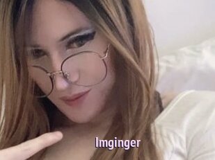 Imginger