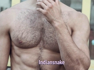 Indiansnake