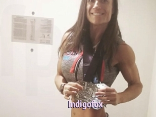 Indigofox