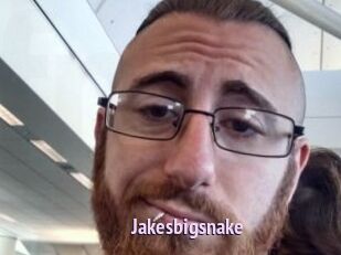 Jakesbigsnake