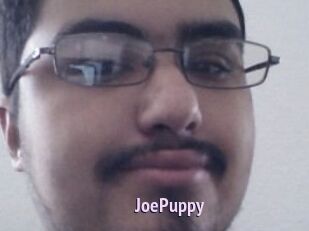 JoePuppy