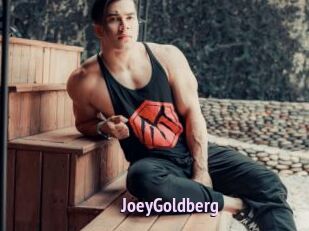 JoeyGoldberg