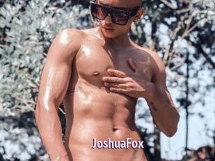 JoshuaFox
