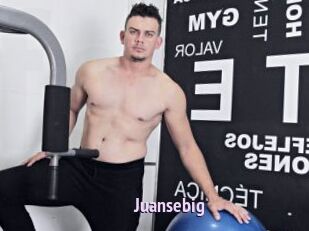 Juansebig