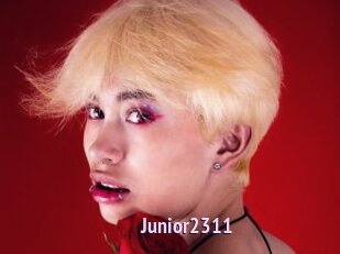 Junior2311