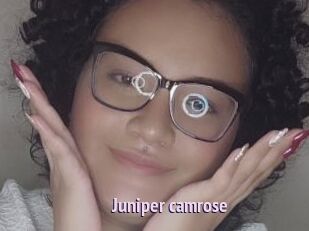 Juniper_camrose