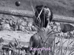 KanaryPunk