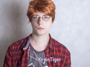 KevinTiger