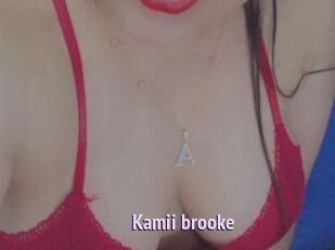 Kamii_brooke