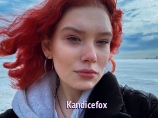 Kandicefox