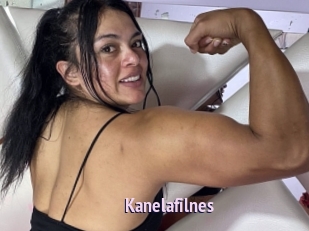 Kanelafilnes