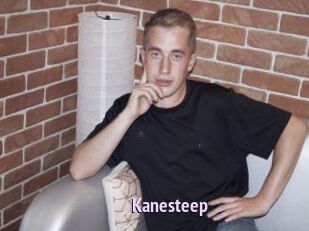Kanesteep