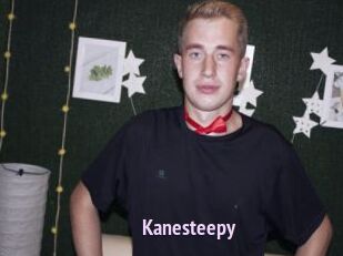 Kanesteepy