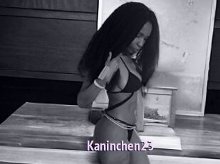 Kaninchen23