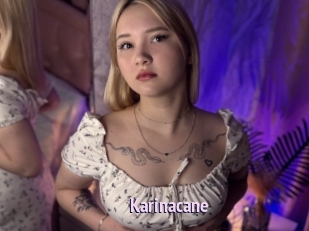 Karinacane