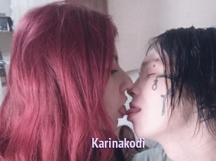 Karinakodi