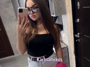 Karinamikus