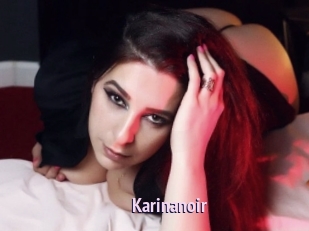 Karinanoir
