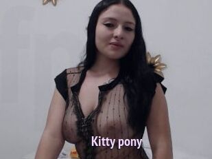 Kitty_pony