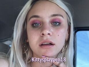 Kittysplaypen18