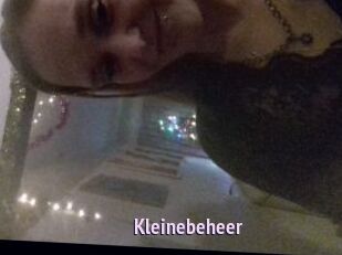 Kleinebeheer