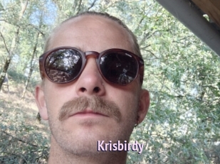 Krisbirdy