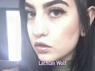 Lachlan_Wolf