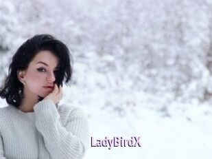 LadyBirdX