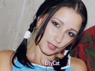 Lily_Cat_