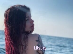 Lily_Jay