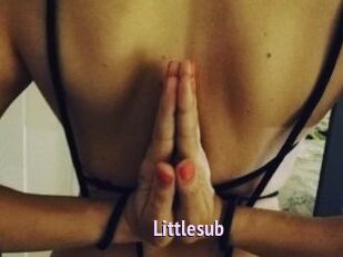 Littlesub