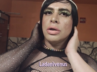 Ladanivenus