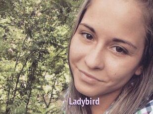 Ladybird
