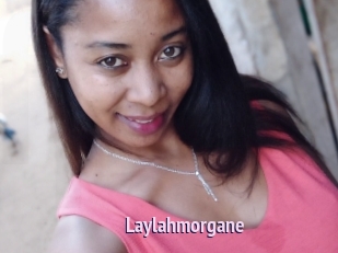 Laylahmorgane