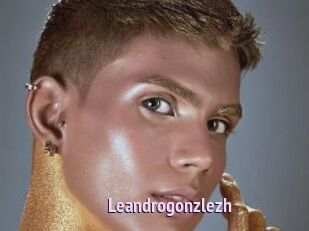 Leandrogonzlezh